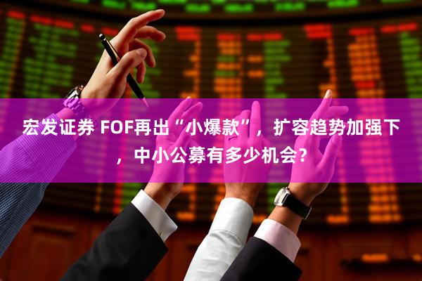 宏发证券 FOF再出“小爆款”，扩容趋势加强下，中小公募有多少机会？