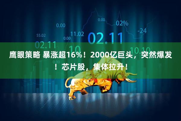 鹰眼策略 暴涨超16%！2000亿巨头，突然爆发！芯片股，集体拉升！