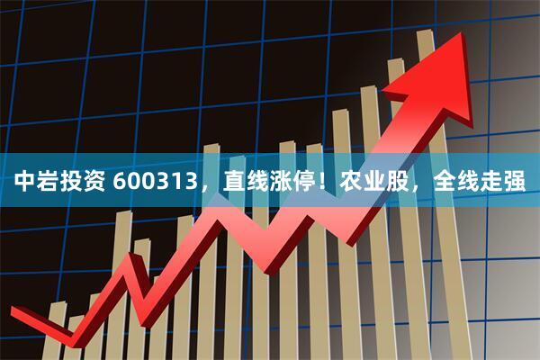 中岩投资 600313，直线涨停！农业股，全线走强