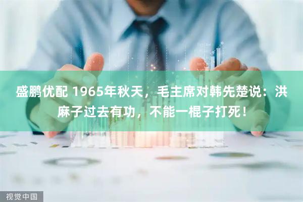 盛鹏优配 1965年秋天，毛主席对韩先楚说：洪麻子过去有功，不能一棍子打死！