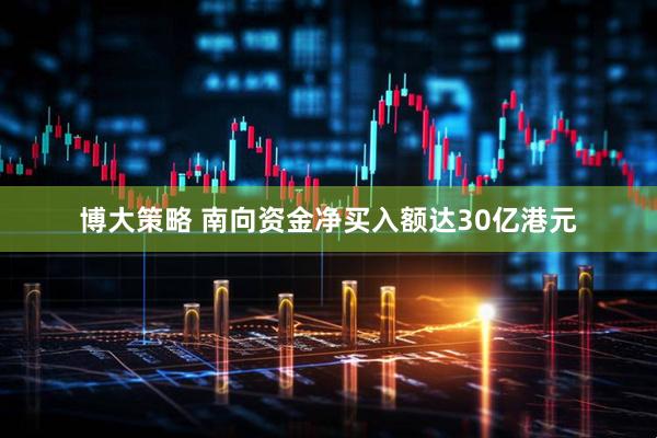 博大策略 南向资金净买入额达30亿港元