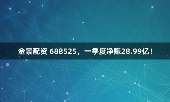 金景配资 688525，一季度净赚28.99亿！