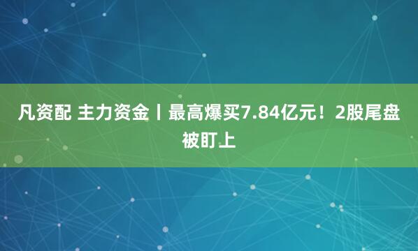 凡资配 主力资金丨最高爆买7.84亿元！2股尾盘被盯上